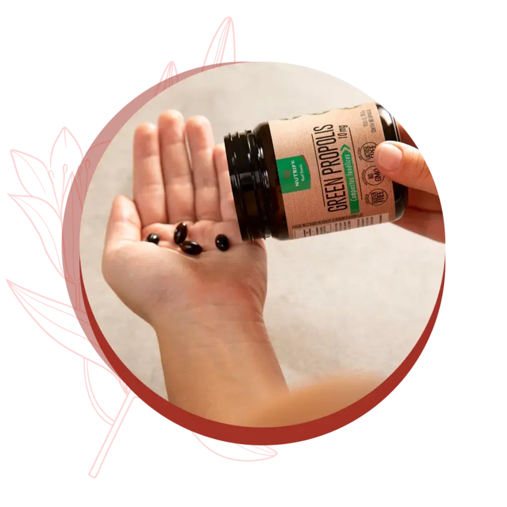 Green propolis Nutrify 60cps compostos fenólicos