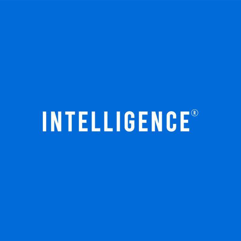 INTELLIGENCE