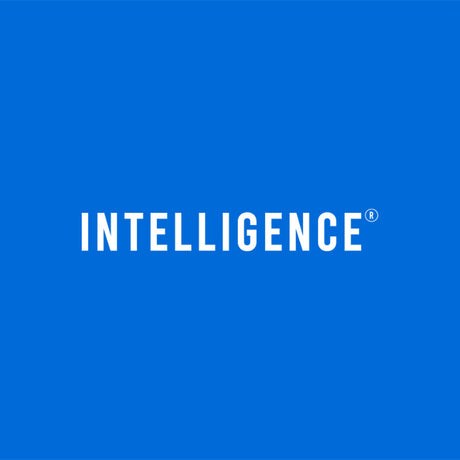 INTELLIGENCE
