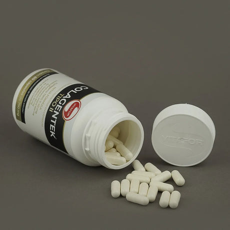 Colágeno - Colagentek Tipo II - Vitafor - HOTBODY